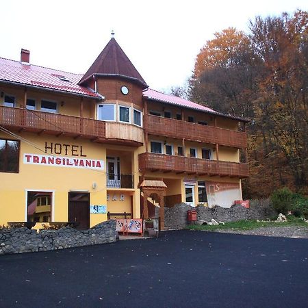 Vila Transilvania Балваниос Екстериор снимка