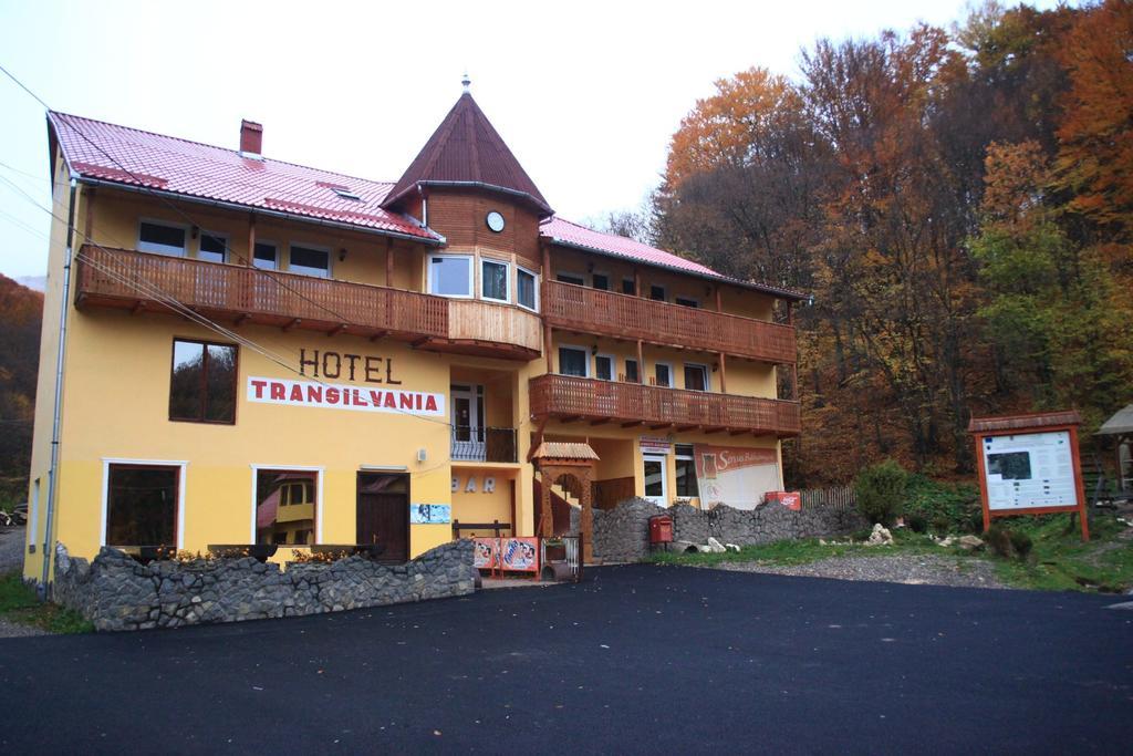 Vila Transilvania Балваниос Екстериор снимка